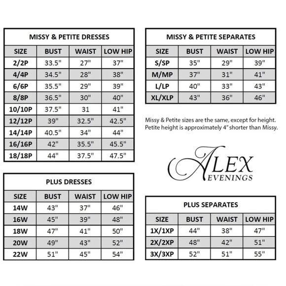 NWT ALEX EVENINGS Short A-Line Applique Dress with Cap Sleeves Dove Gray Size 12 - Picture 4 of 5